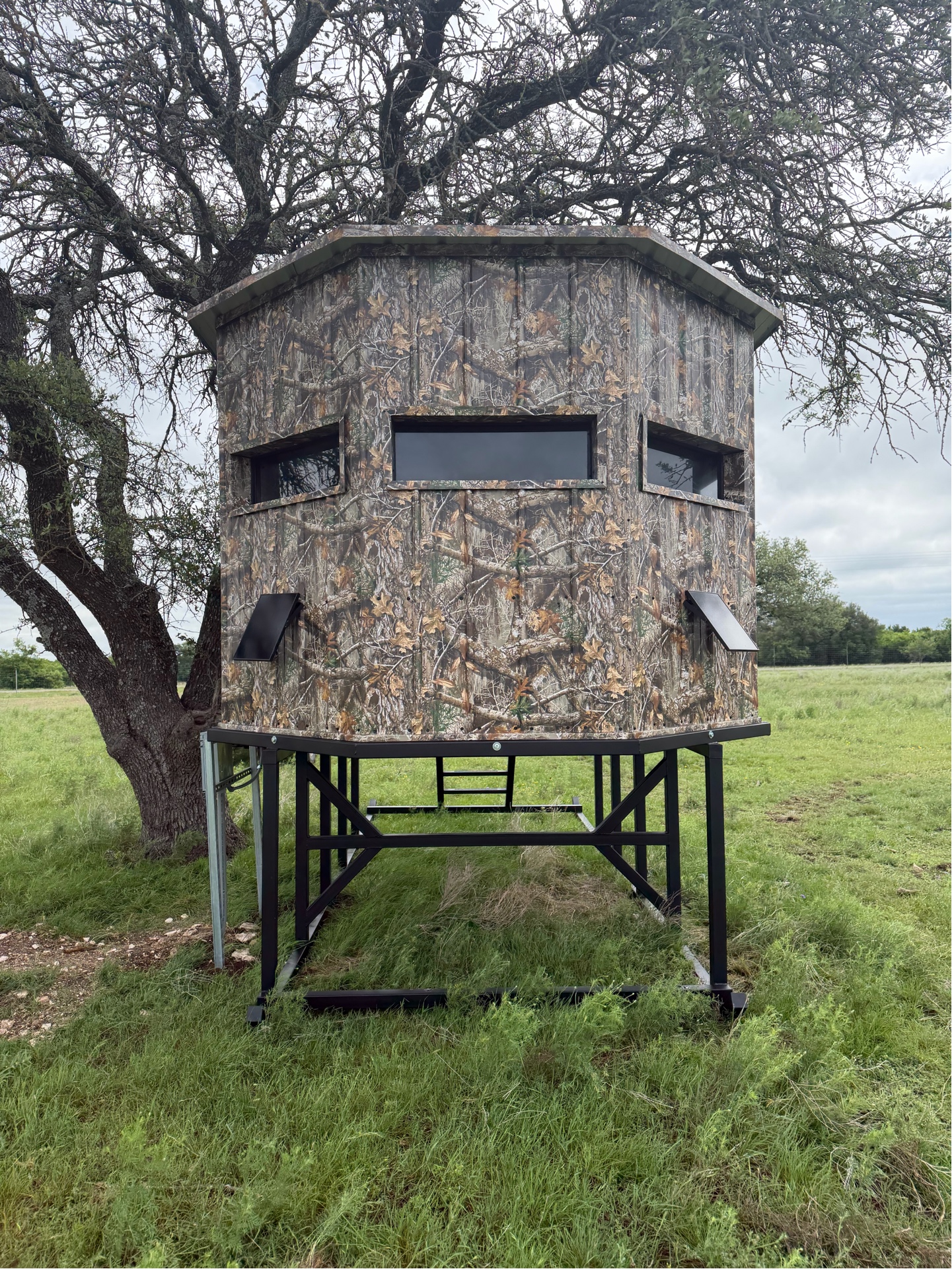 6x6 Bow Window custom deer blind by Savage Blinds — Pittsburg TX